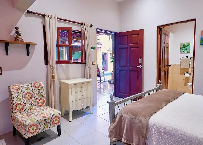 Hotel Casa Leona 3*