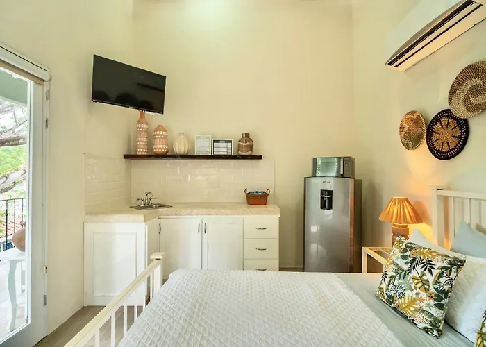 Casa Leona Hotel Tamarindo
