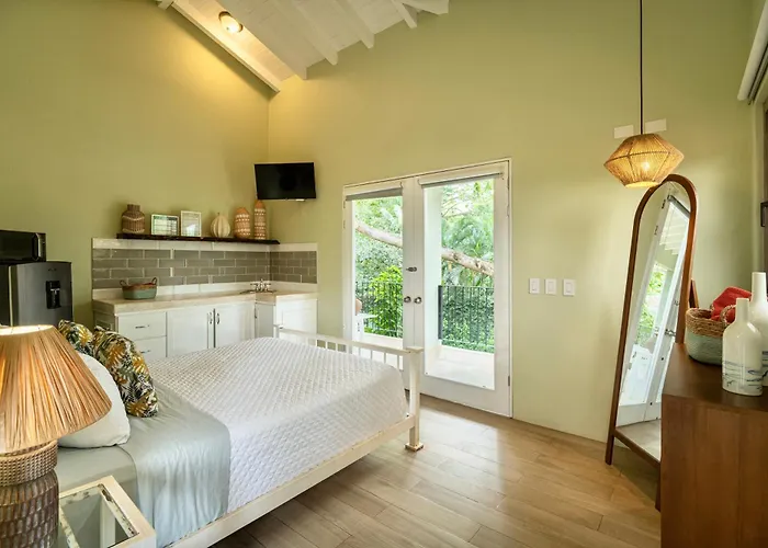 Casa Leona Hotel Tamarindo